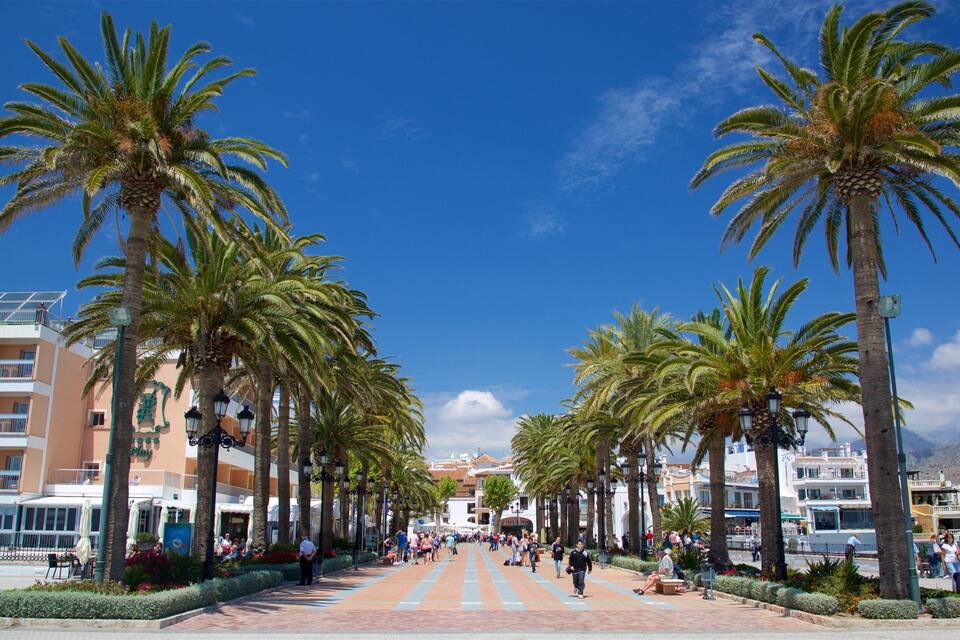 A promenade lined with palm trees and buildings, with people walking and sitting along the path.