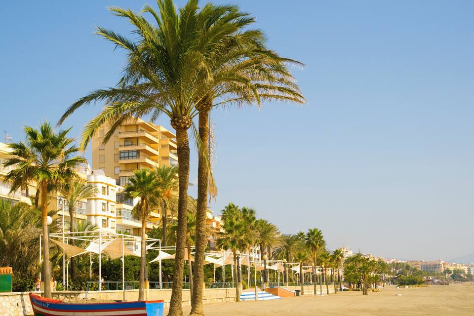 Una spiaggia con palme, una fila di barche colorate e un edificio sullo sfondo.