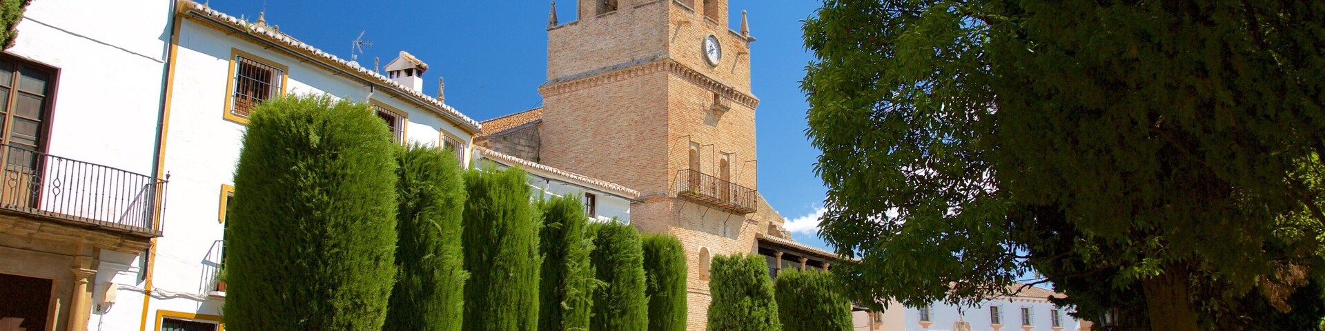 Church of Santa Maria la Mayor which includes street scenes
