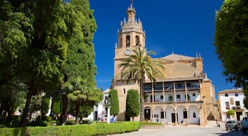 Church of Santa Maria la Mayor showing street scenes and heritage elements