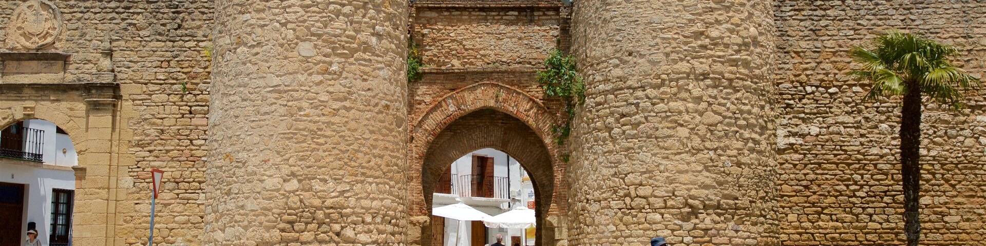 Puerta de Almocabar featuring street scenes and heritage elements as well as a small group of people
