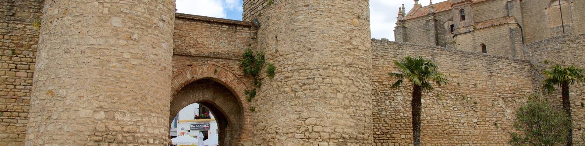 Puerta de Almocabar showing heritage elements