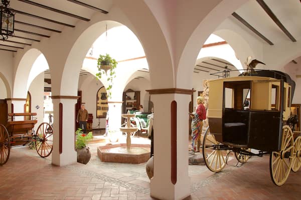 Museo Lara featuring interior views