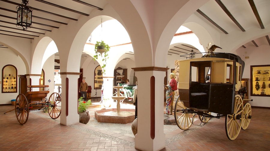 Museo Lara featuring interior views