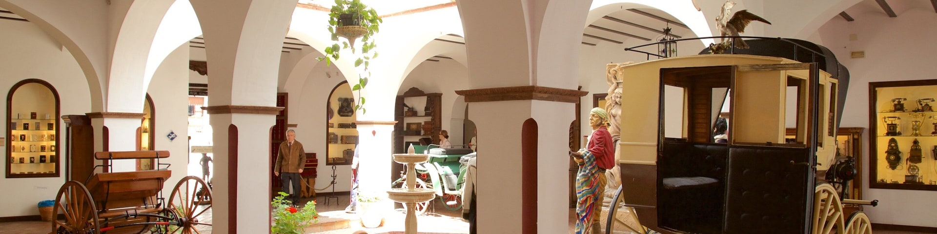 Museo Lara featuring interior views
