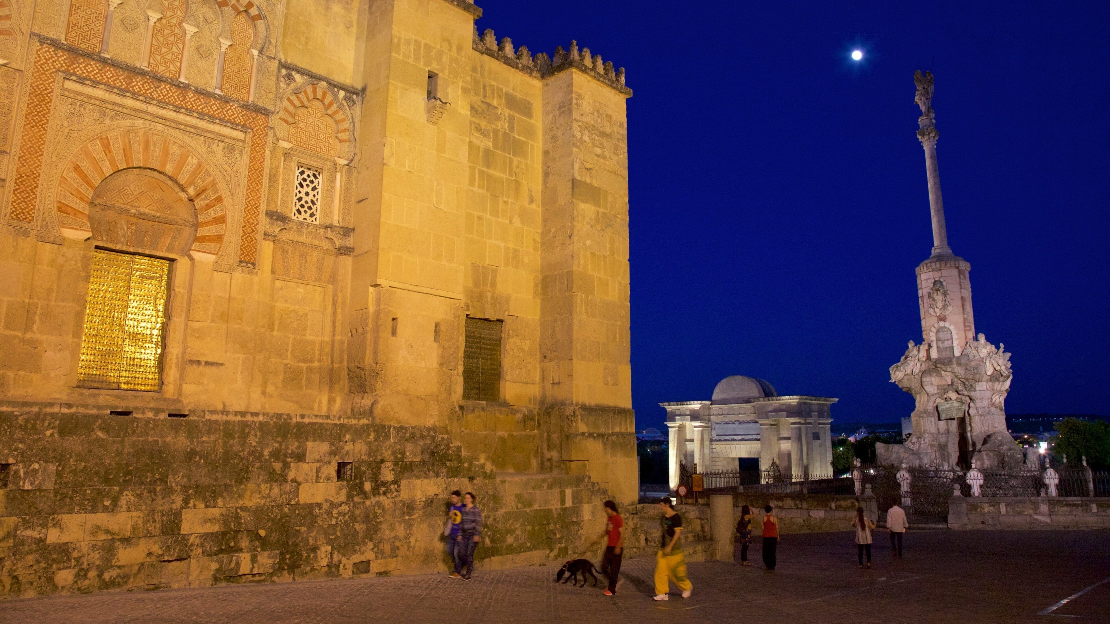 Cattedrale Mezquita di Cordova mostrando paesaggio notturno e strade
