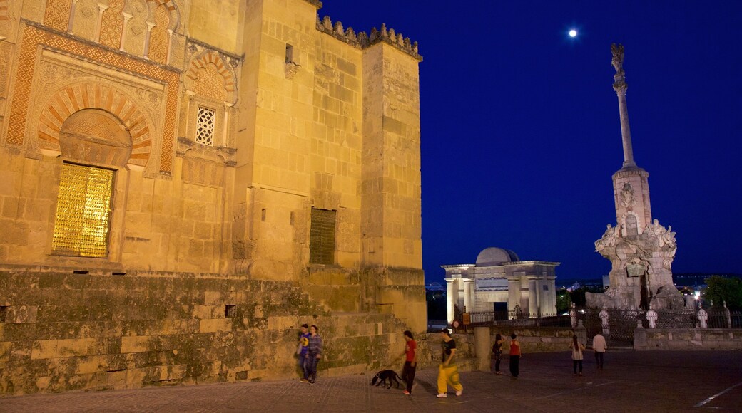 Cattedrale Mezquita di Cordova mostrando paesaggio notturno e strade