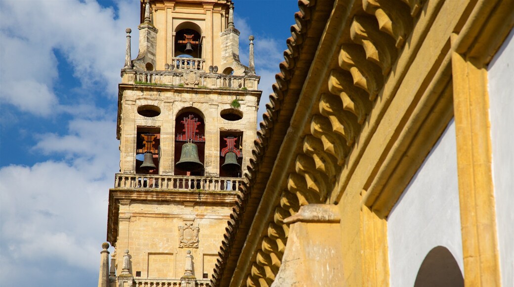 Cordoba Mosque showing heritage elements