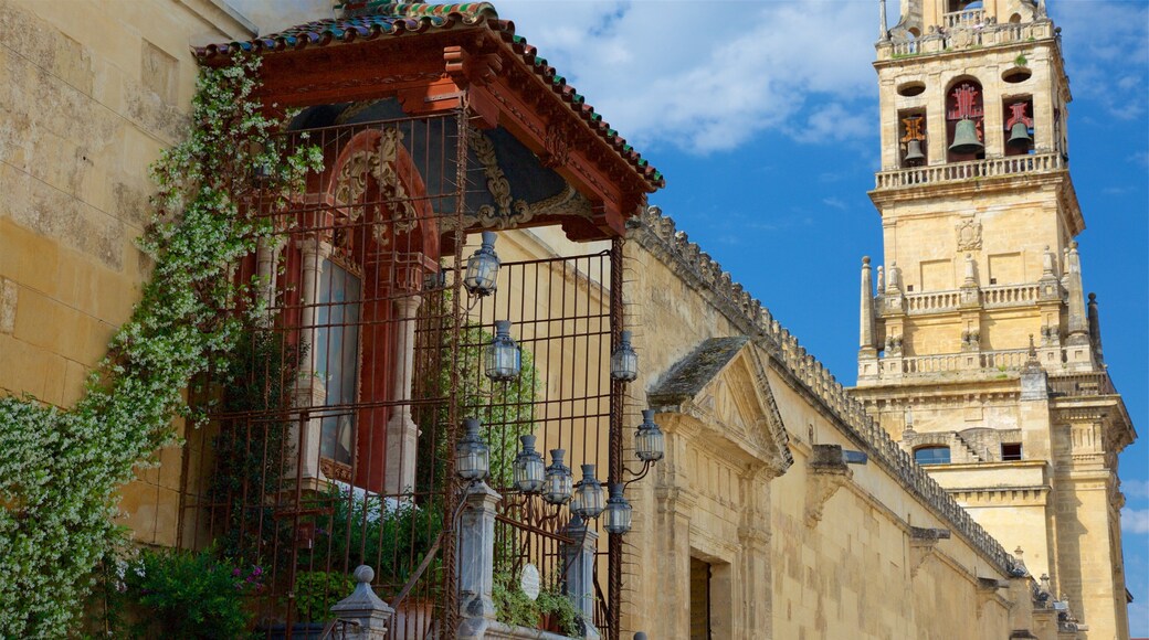 Mezquita de Córdoba mostrando una pequeña ciudad o aldea