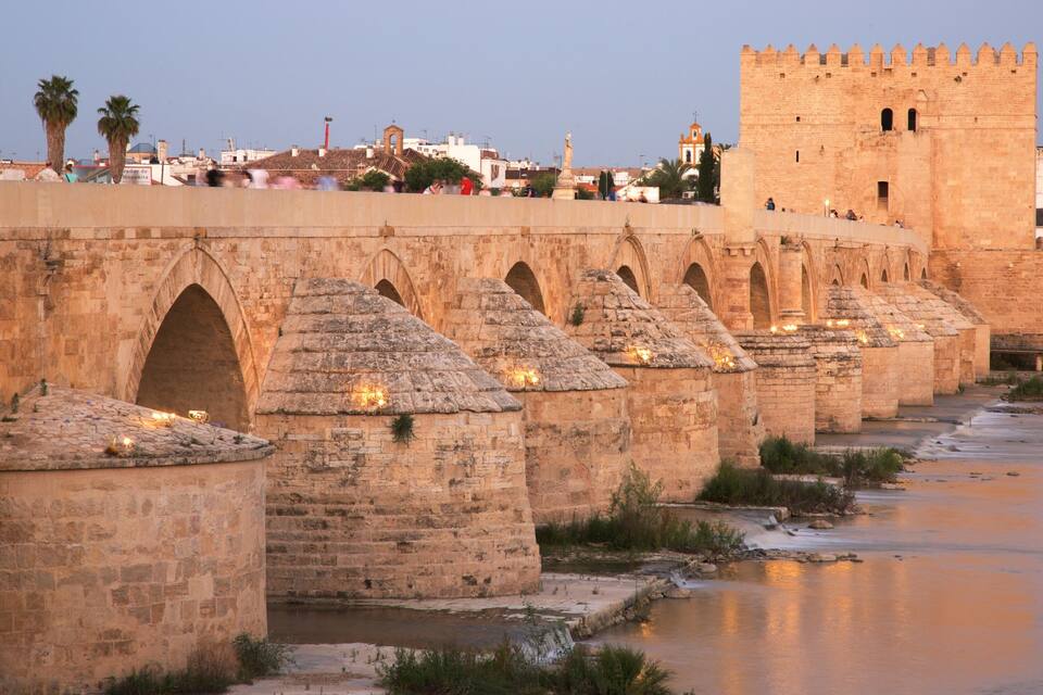 A stone bridge with multiple arches over a river, a castle in the background, and palm trees along the riverbank.