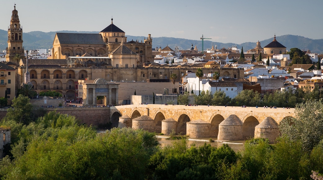 Roman Bridge which includes a city, a bridge and landscape views