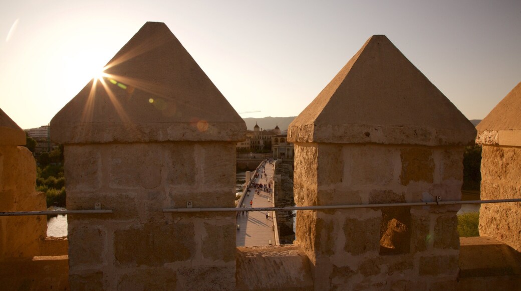 토레 데 라 칼라호라 을 특징 궁전 또는 고성