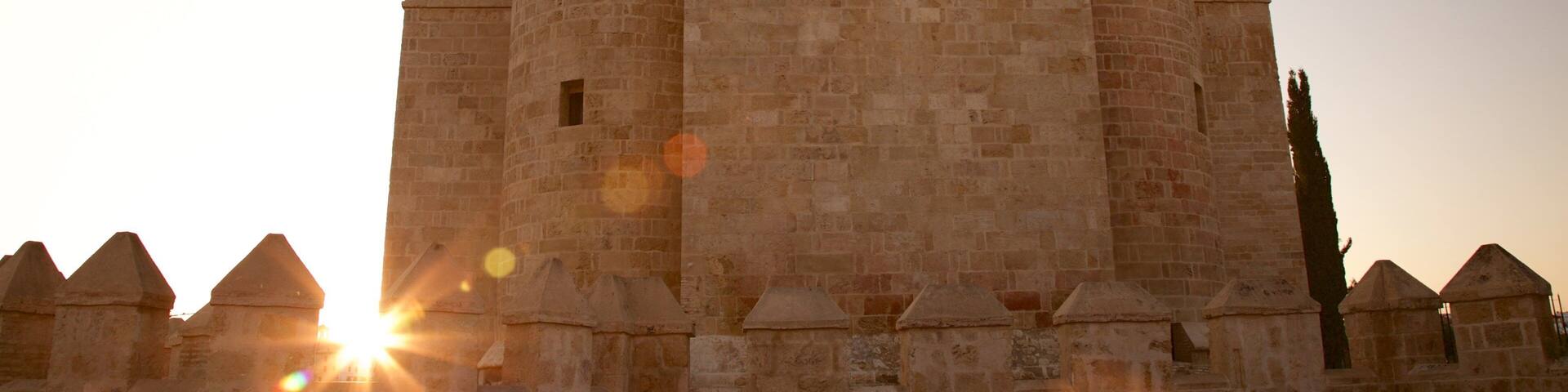 Calahorra Tower which includes a castle and heritage elements