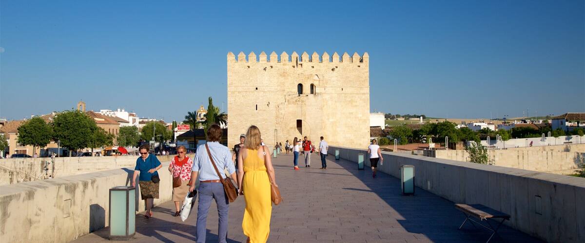 カラオーラの搭 どの含み ストリート シーン 及び 大勢の人々