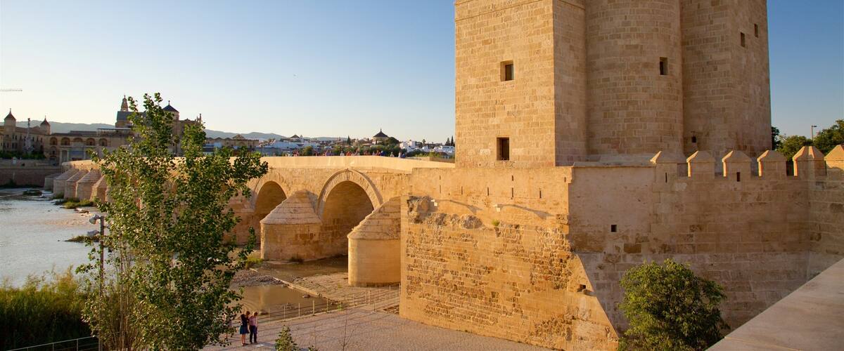 Calahorra Tower qui includes patrimoine historique et rivière ou ruisseau