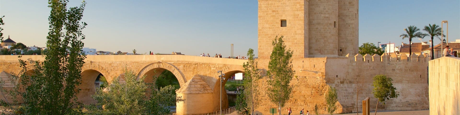 A historic stone bridge with arches, a tall tower, and a well-maintained grassy area with pathways.