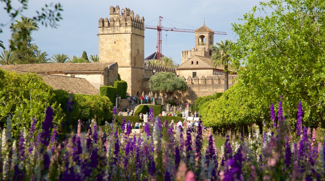 Alcazar of Cordoba showing a small town or village, a park and wildflowers