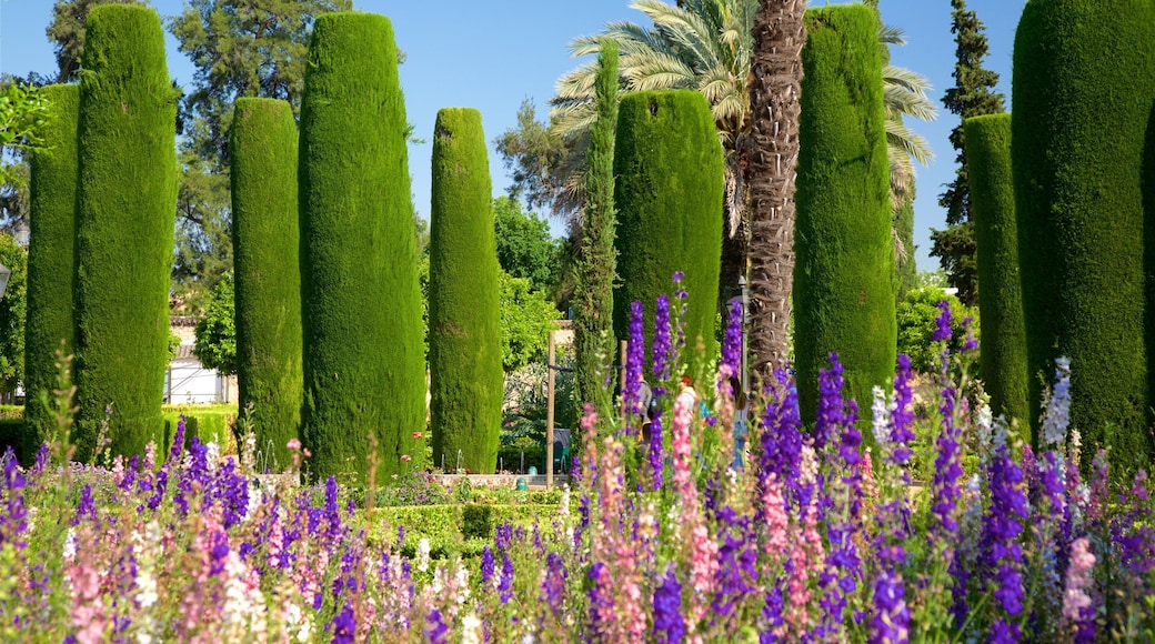 Alcazar of Cordoba showing wildflowers and a garden