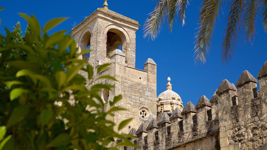 Alcázar de los Reyes Cristianos que incluye un castillo