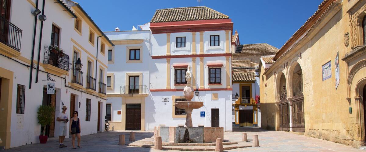 Plaza del Potro which includes a square or plaza and a small town or village