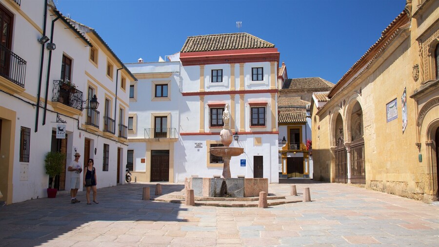 Plaza del Potro which includes a square or plaza and a small town or village