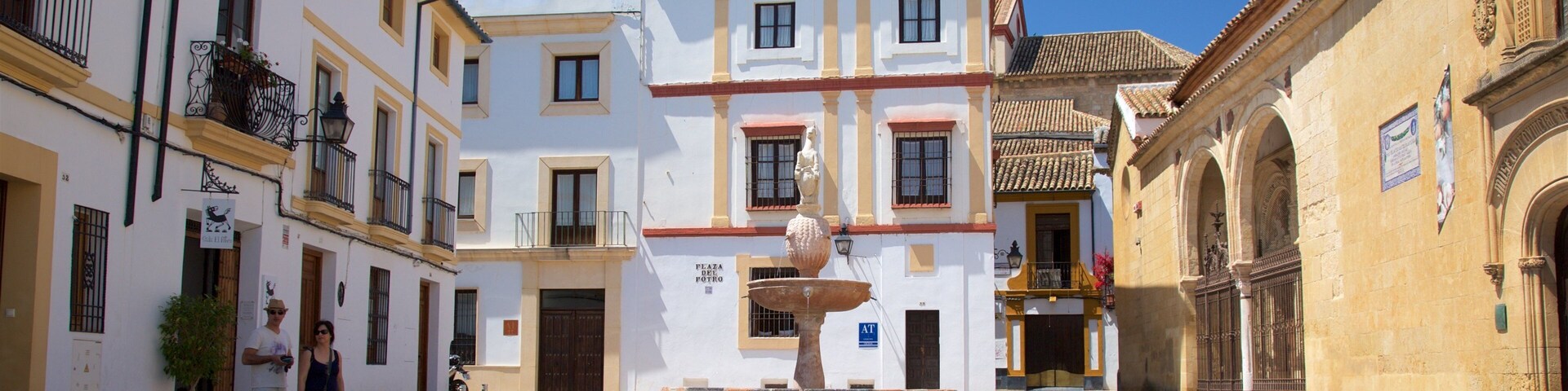 Praça do Potro mostrando uma praça ou plaza e uma cidade pequena ou vila