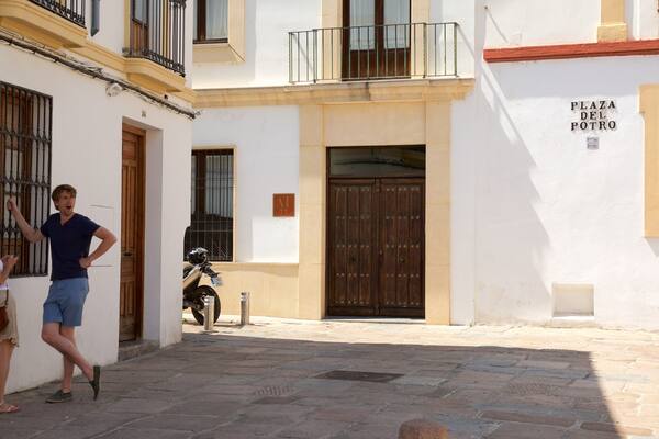Plaza del Potro qui includes scĂšnes de rue aussi bien que petit groupe de personnes
