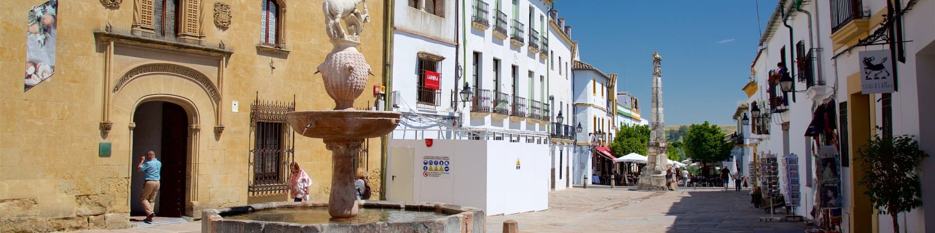 A historic square with a fountain, cobblestone streets, and traditional European architecture.