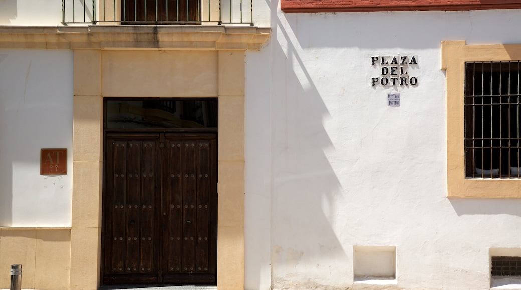 Plaza del Potro mettant en vedette signalisation et scènes de rue