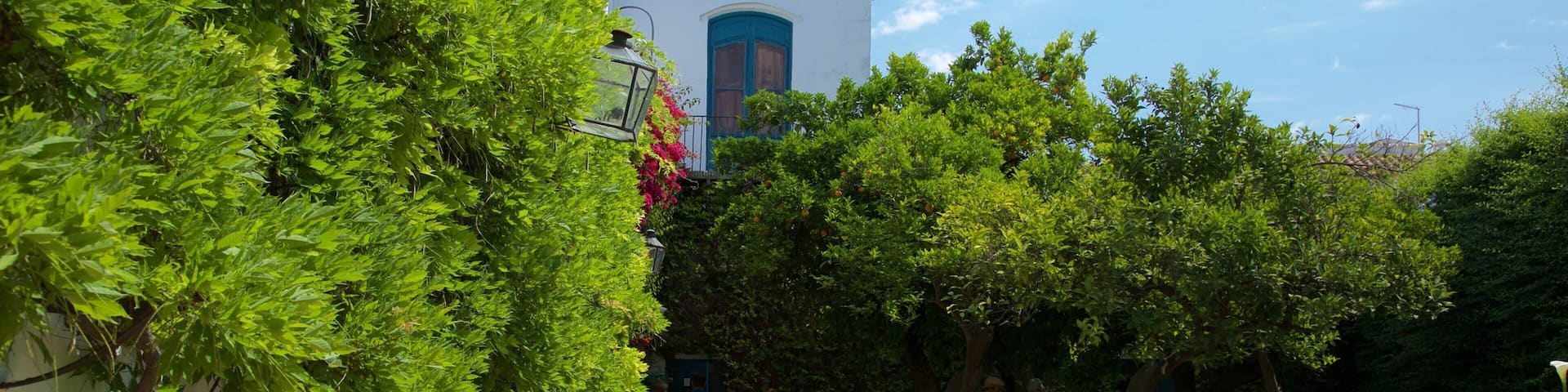 Marques de Viana Palace which includes a garden and a pond