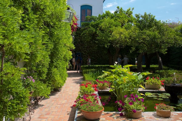 Marques de Viana Palace featuring a garden and a pond