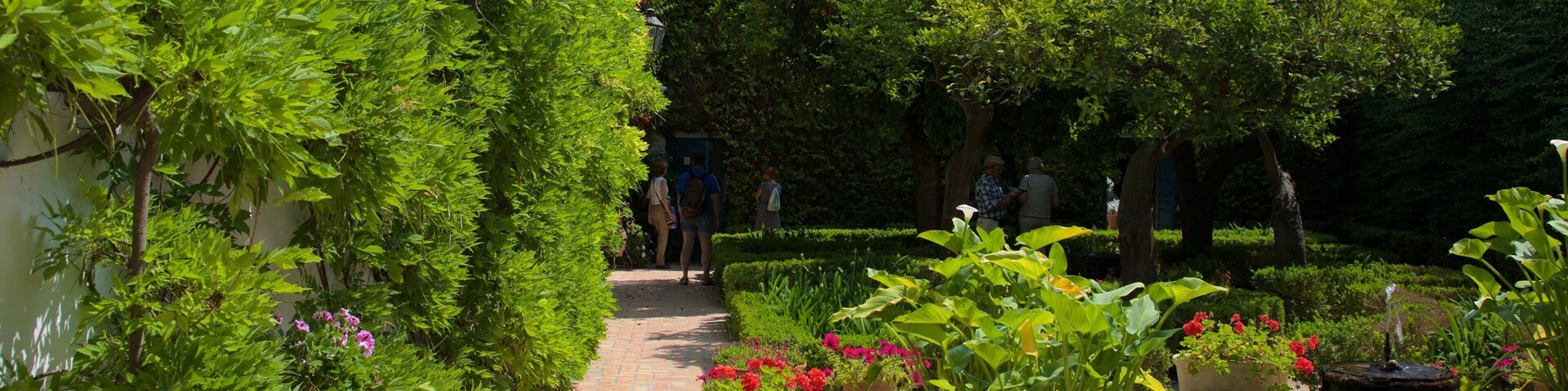 Palacio del Marqués de Viana que incluye un estanque y jardín