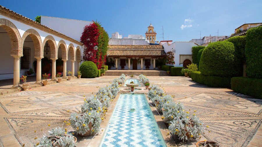 Marques de Viana Palace showing a square or plaza