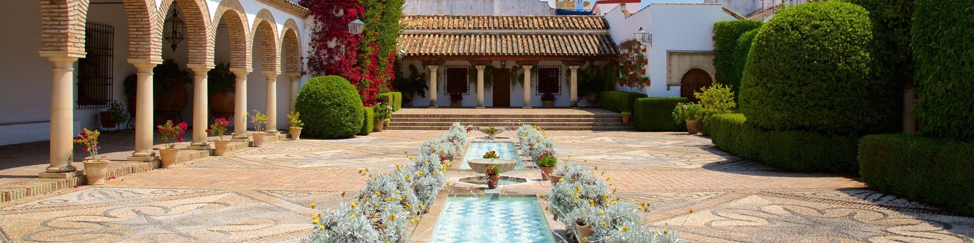 Marques de Viana Palace showing a square or plaza