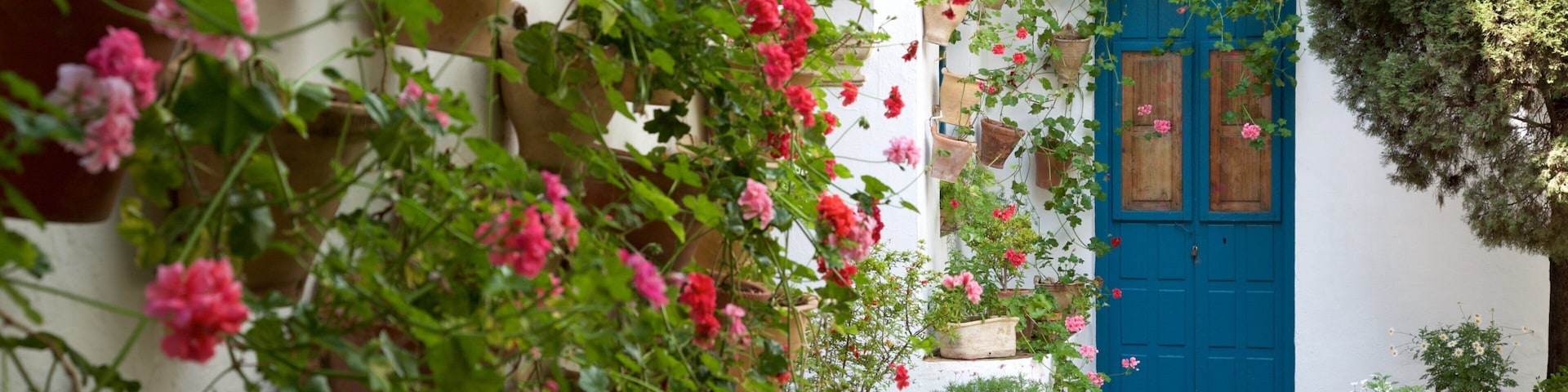 Marques de Viana Palace showing flowers, a house and wildflowers