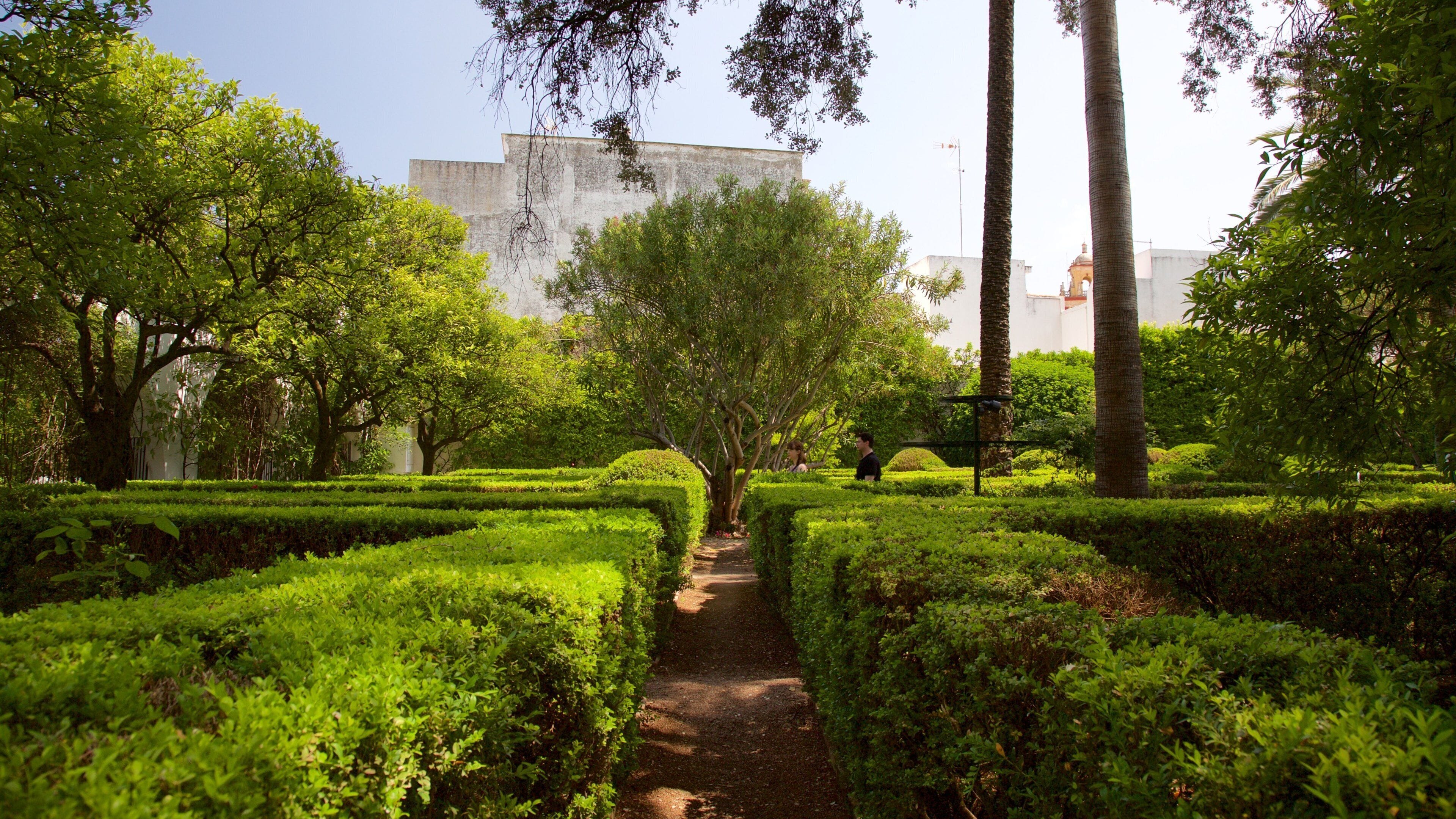 Marques de Viana Palace montrant parc