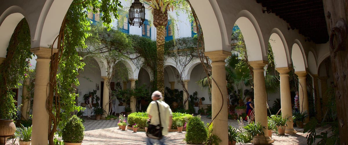 Palacio del Marqués de Viana ofreciendo una casa