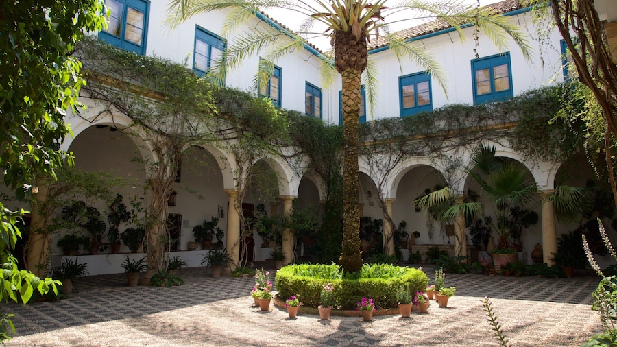 San Miguel-Capuchinos