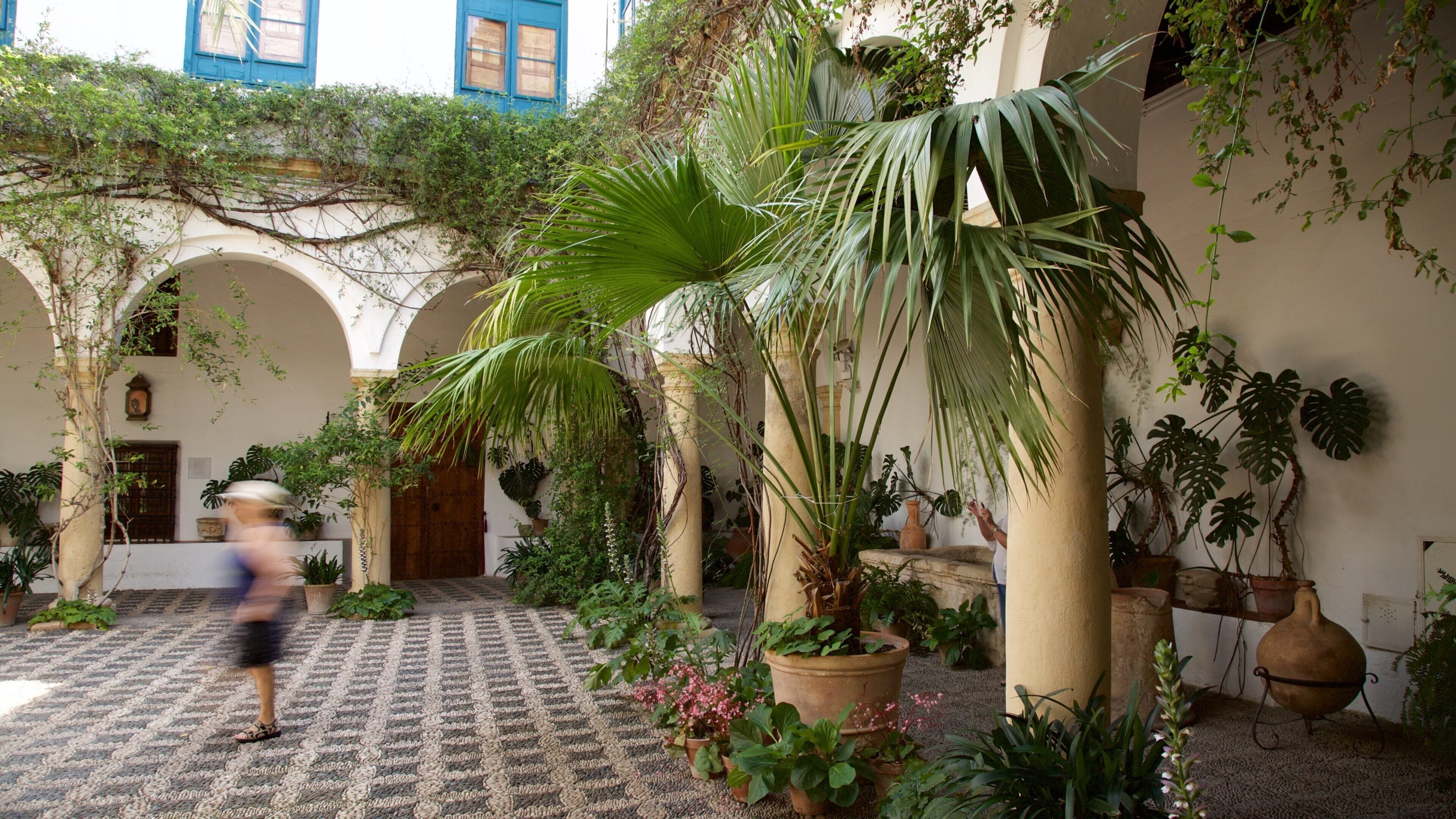 Marques de Viana Palace which includes a castle