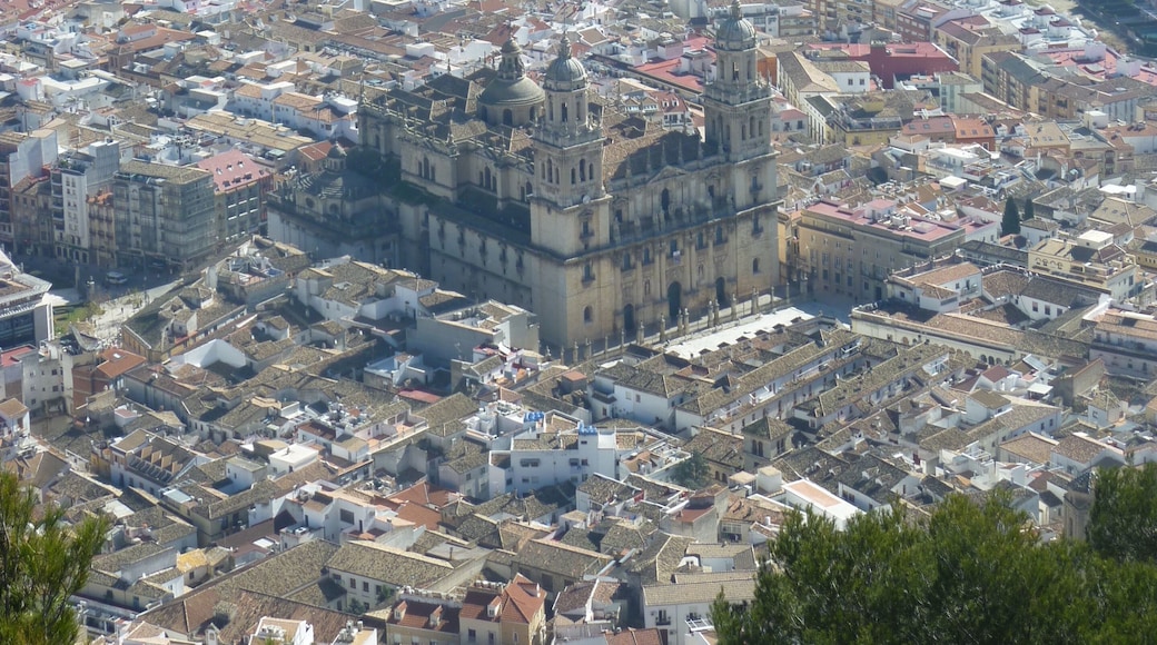 View of Jaen and the cathedral