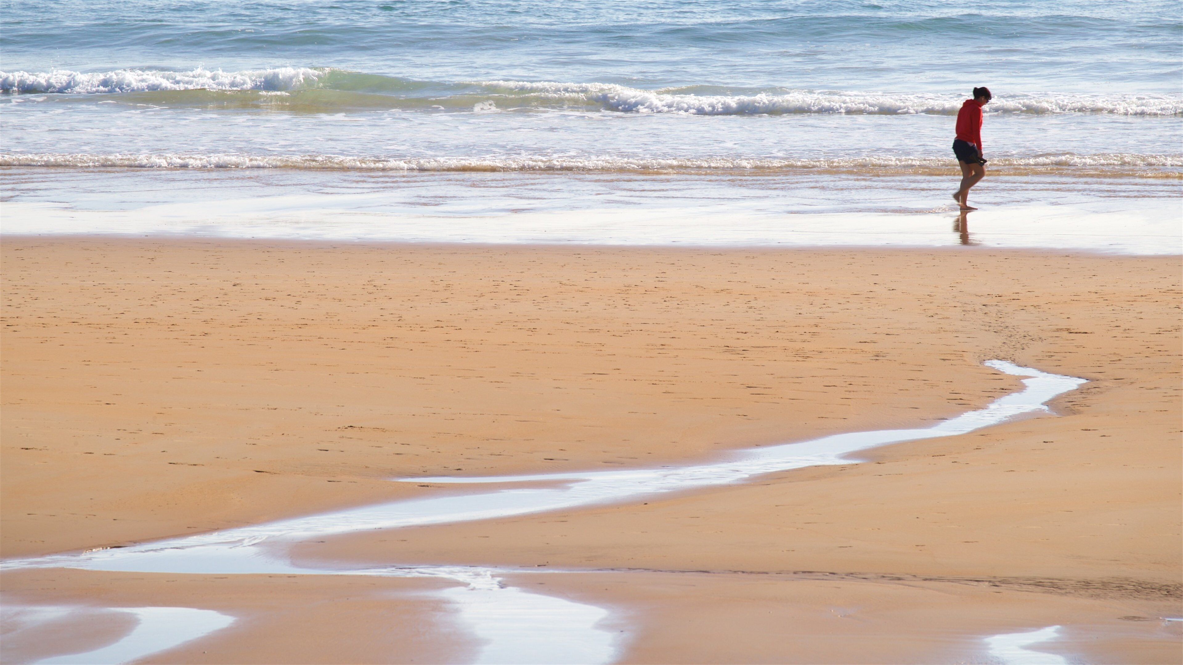 Plage El Camello mettant en vedette vues littorales et plage aussi bien que femme