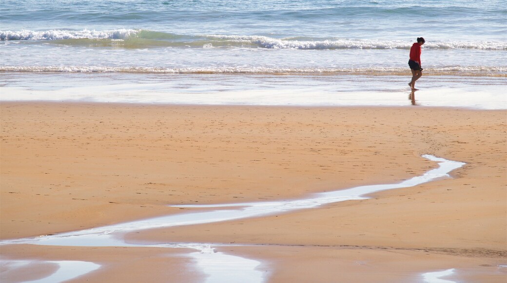 Plage El Camello mettant en vedette vues littorales et plage aussi bien que femme