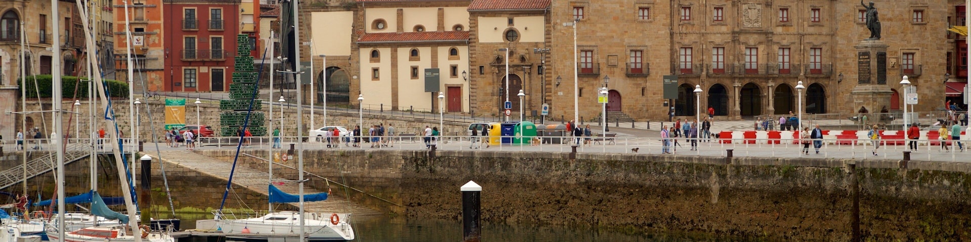Palacio de Revillagigedo showing a city, a bay or harbor and heritage elements