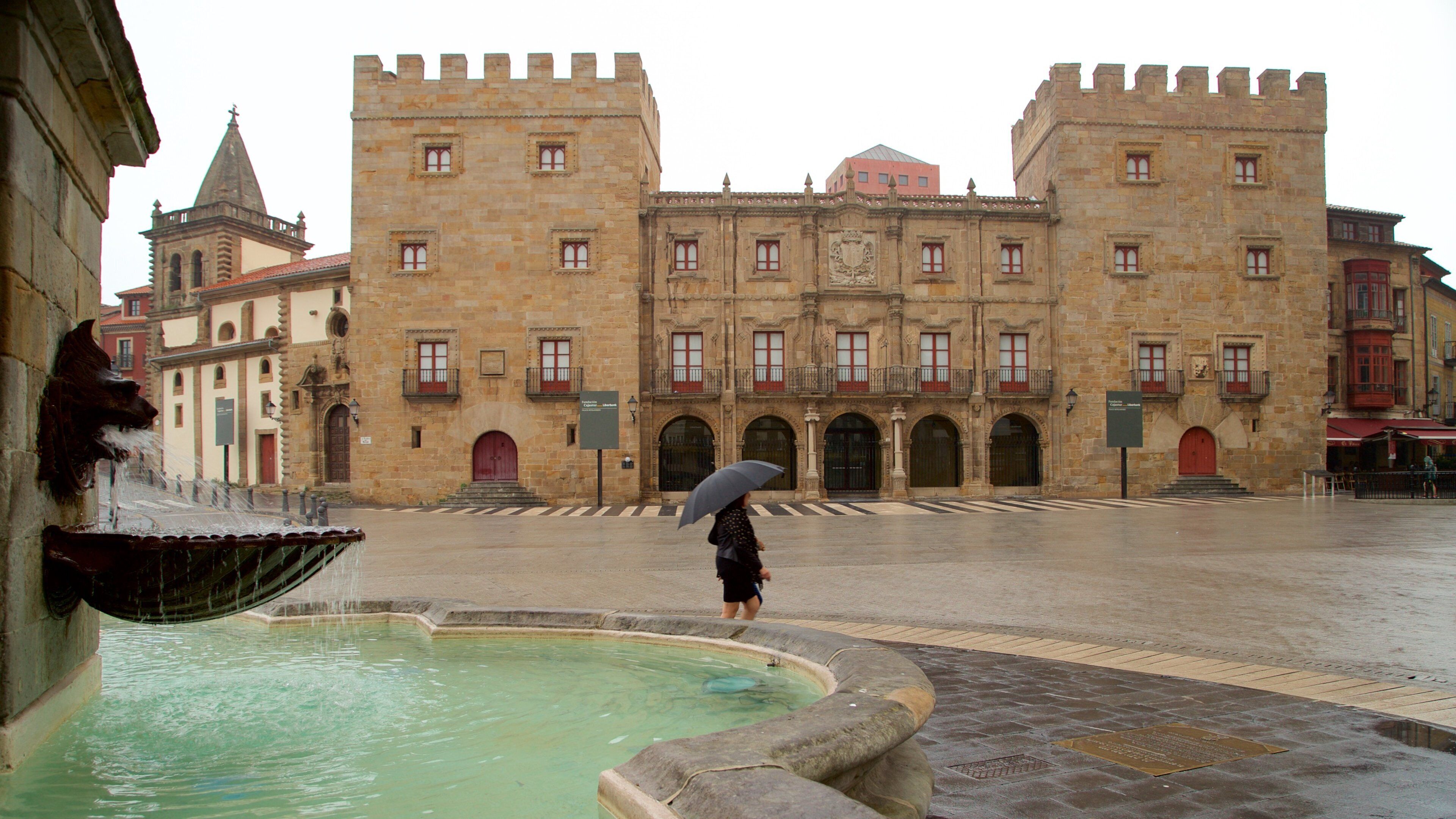 Palacio de Revillagigedo showing a square or plaza, heritage architecture and a fountain