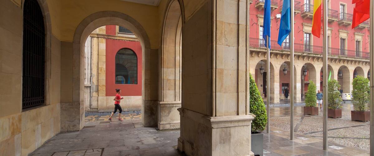 Plaza Mayor presenterar historiska element