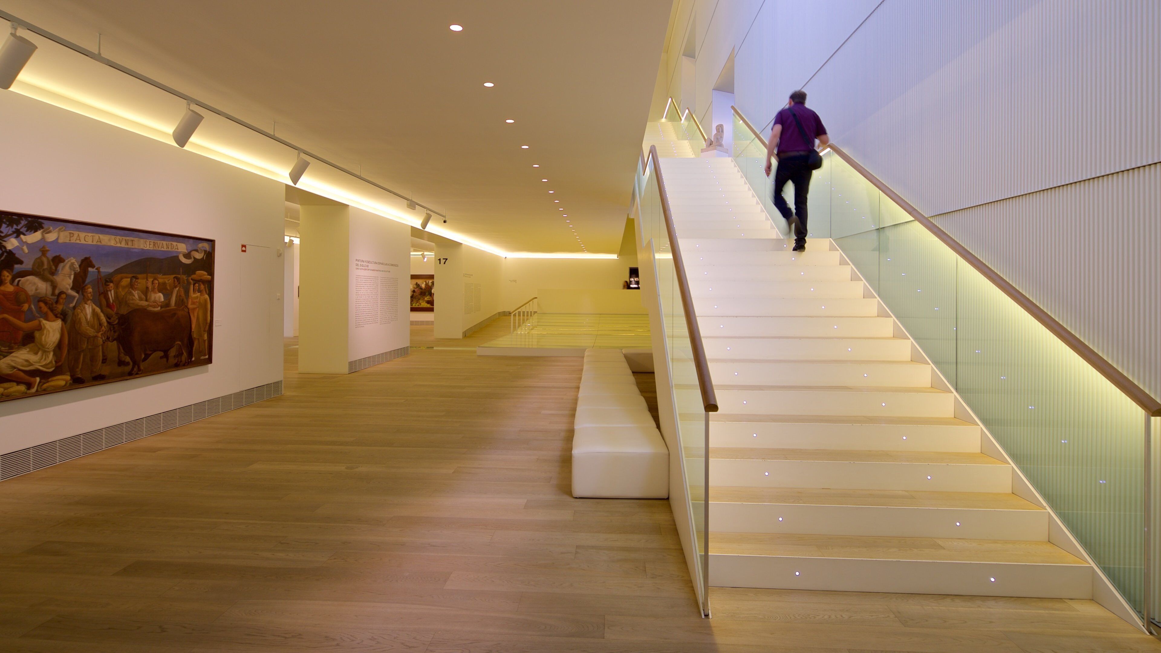 Museum of Fine Arts featuring interior views and art as well as an individual male