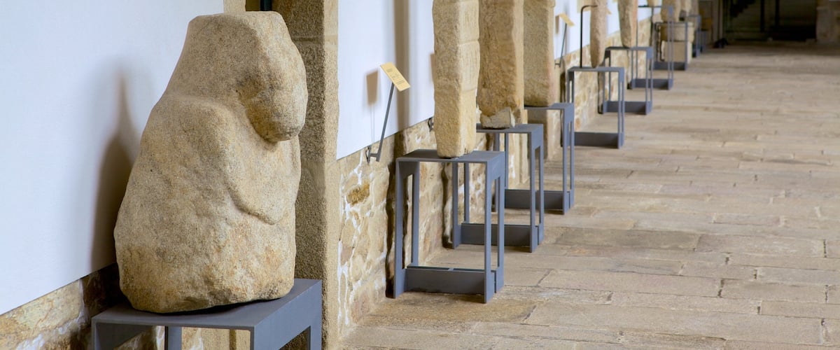 Museo del Pueblo Gallego ofreciendo arte y vistas interiores