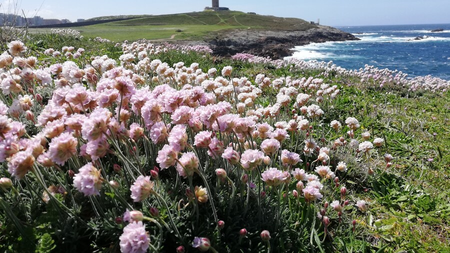 Galician spots that inspire and allow us to #travel in time #Galicia #naturelover #LifeAtExpedia