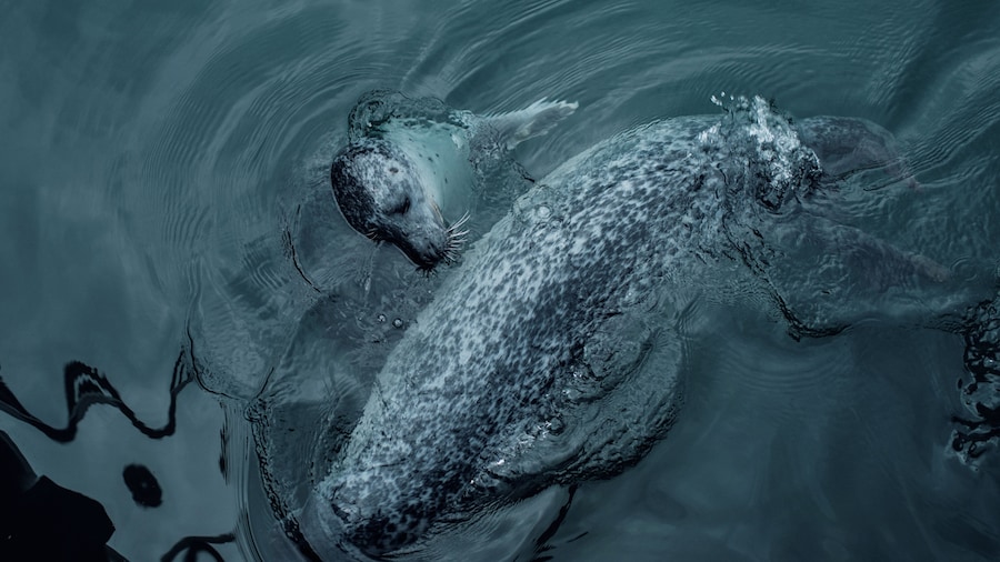 LaCoruna_AquariumFinisterrae_6121728-8