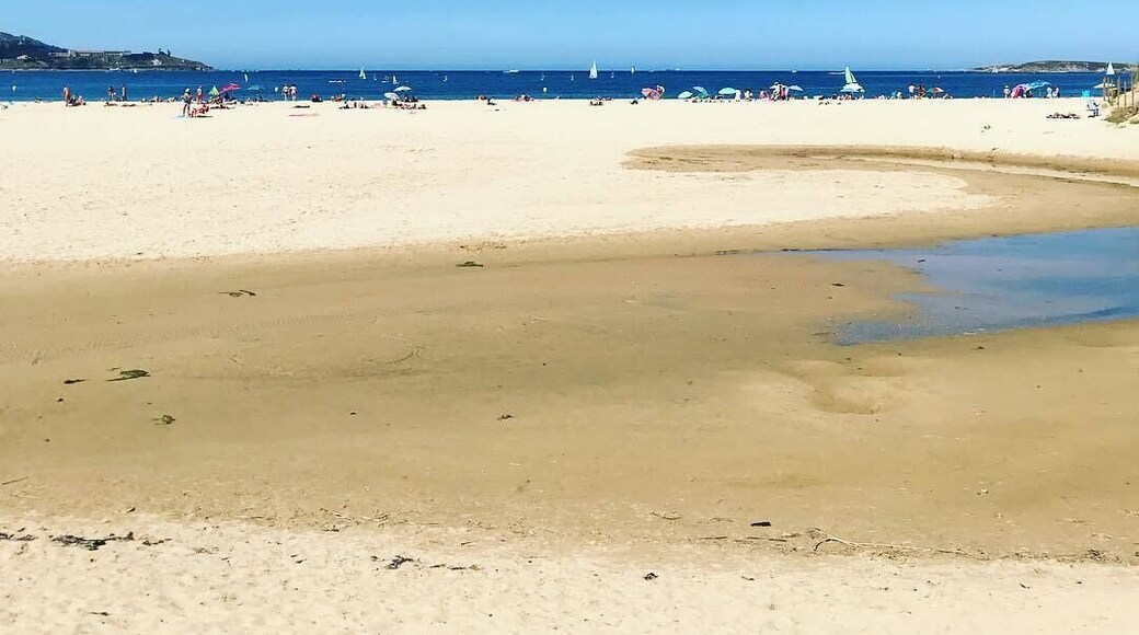 Late summer post #LifeAtExpedia